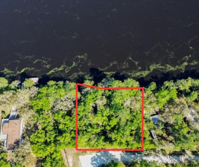 Lake Lot For Sale in Old Town, Florida
