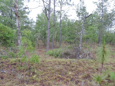 Bonable Lake Lot For Sale in Dunnellon Florida