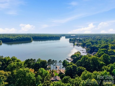 Experience luxury lakefront living in this extraordinary 3BR, 3 - photo 4