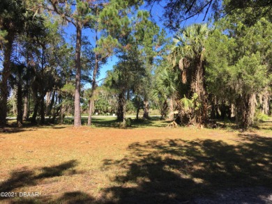 Lake George Lot For Sale in Pierson Florida