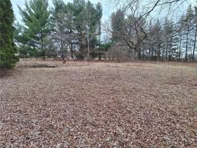 Lake Lot For Sale in Chippewa Falls, Wisconsin