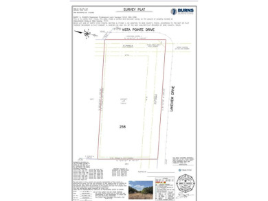 Lake Lot For Sale in Chico, Texas