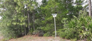 Lake Lot For Sale in Indian Lake Estates, Florida