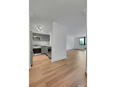 Experience refined luxury living at The Classic, one of downtown - photo 7