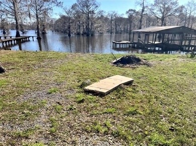 Lake Bistineau Lot For Sale in Elm Grove Louisiana