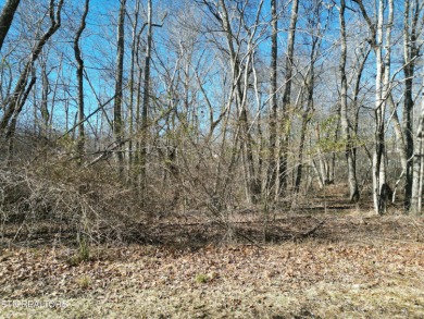 (private lake, pond, creek) Lot For Sale in Crossville Tennessee