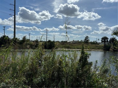 Waterfront residential lot located in north Cape Coral. HUGE - photo 2