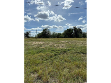 Waterfront residential lot located in north Cape Coral. HUGE - photo 3