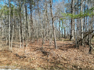 (private lake, pond, creek) Lot For Sale in Crossville Tennessee