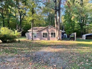 (private lake, pond, creek) Home For Sale in Lake Michigan