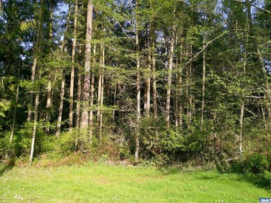 Rare private wooded acreage with no HOA or CC&R's at end of road - photo 1