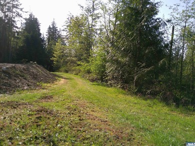 Rare private wooded acreage with no HOA or CC&R's at end of road - photo 3