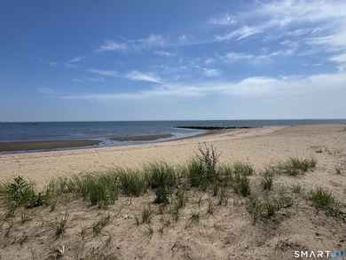 LOCATION, LOCATION, LOCATION! Just one block from Sea Bluff - photo 6