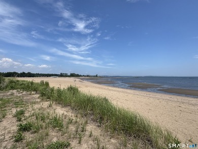 LOCATION, LOCATION, LOCATION! Just one block from Sea Bluff - photo 7