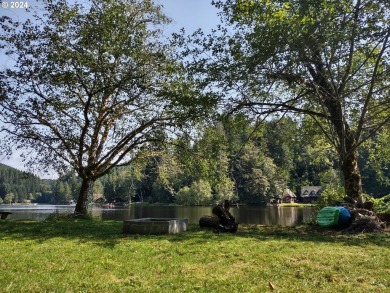 Lake Lot For Sale in Birkenfeld, Oregon