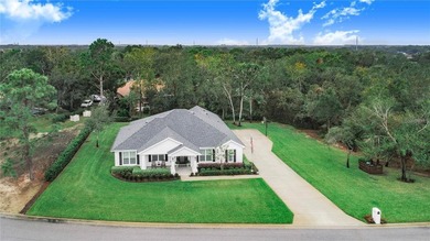 Stunning 2020-built home situated on an oversized 1/2+ acre lot - photo 34