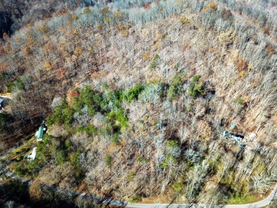 Lake Acreage For Sale in Luttrell, Tennessee