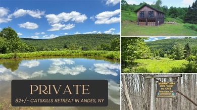 A rare opportunity to own your own private Catskills retreat in - photo 1