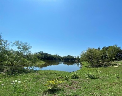 (private lake, pond, creek) Acreage For Sale in Goldthwaite Texas