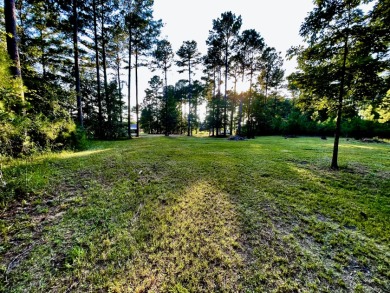 Beautiful Level Wooded Lot Ready To Build On - photo 10