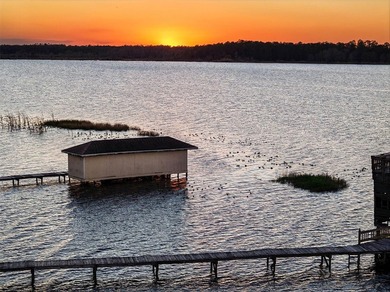 Welcome to 14051 Marine Ct - a breathtaking lakefront estate - photo 4