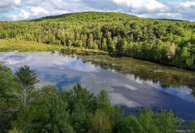 Nestled within the sought-after Greentree community, this - photo 29