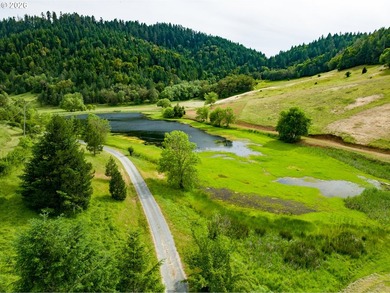 Escape to your own private sanctuary at 1924 Big Lick Lane in - photo 38