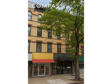 Welcome to 433 DeKalb Avenue, a boutique four-story, eight-unit - photo 8