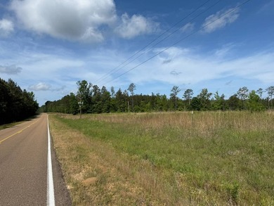 LOCATED IN RANKIN COUNTY, MS, THIS BEAUTIFUL 12.41+/- ACRE - photo 3