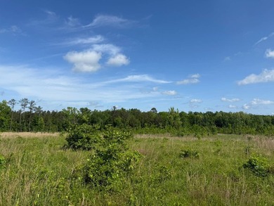 LOCATED IN RANKIN COUNTY, MS, THIS BEAUTIFUL 12.41+/- ACRE - photo 5