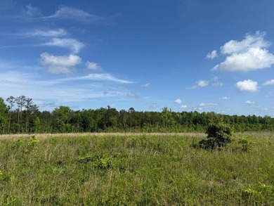 LOCATED IN RANKIN COUNTY, MS, THIS BEAUTIFUL 12.41+/- ACRE - photo 6