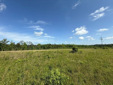 LOCATED IN RANKIN COUNTY, MS, THIS BEAUTIFUL 12.41+/- ACRE - photo 7