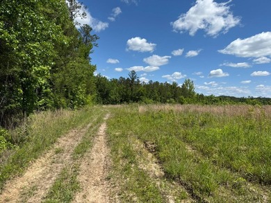 LOCATED IN RANKIN COUNTY, MS, THIS BEAUTIFUL 12.41+/- ACRE - photo 8