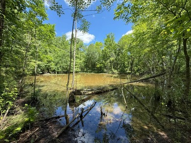 LOCATED IN RANKIN COUNTY, MS, THIS BEAUTIFUL 12.41+/- ACRE - photo 9