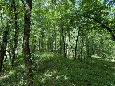 LOCATED IN RANKIN COUNTY, MS, THIS BEAUTIFUL 12.41+/- ACRE - photo 10