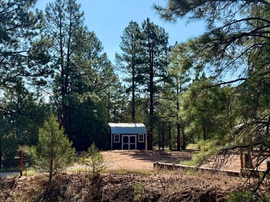 Ramah Reservoir Acreage For Sale in Ramah New Mexico