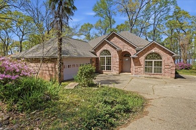Welcome to your private retreat on beautiful Lake Palestine - photo 1