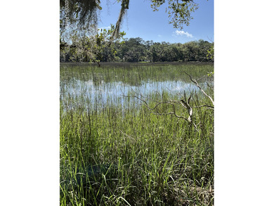 Beaufort River Lot For Sale in Beaufort South Carolina