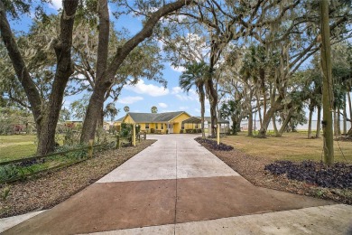 Lake Home For Sale in Leesburg, Florida