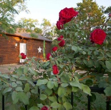 Lake Home For Sale in Possum Kingdom Lake, Texas