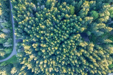 Strait Juan de Fuca  Acreage Active Under Contract in Port Townsend Washington