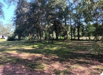 24 ACRES OF GENTLE ROLLING HILLS ON CLEARED LAND. THE HOUSE IS - photo 11