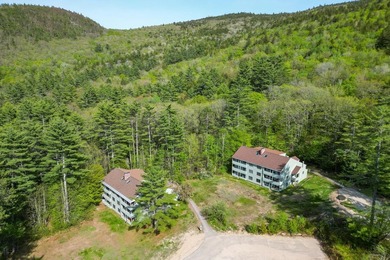 Tucked privately at the back of the Seasons at Attitash Resort - photo 2