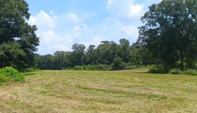 24 ACRES OF GENTLE ROLLING HILLS ON CLEARED LAND. THE HOUSE IS - photo 12
