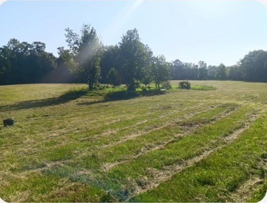 24 ACRES OF GENTLE ROLLING HILLS ON CLEARED LAND. THE HOUSE IS - photo 13