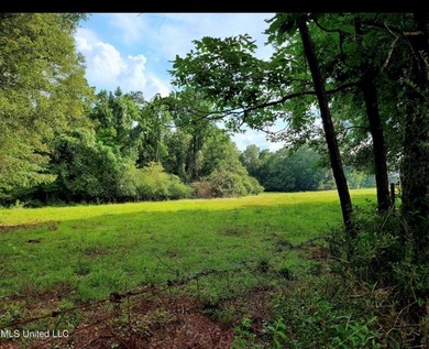 24 ACRES OF GENTLE ROLLING HILLS ON CLEARED LAND. THE HOUSE IS - photo 15