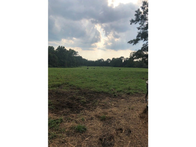 24 ACRES OF GENTLE ROLLING HILLS ON CLEARED LAND. THE HOUSE IS - photo 17