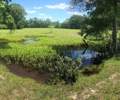 24 ACRES OF GENTLE ROLLING HILLS ON CLEARED LAND. THE HOUSE IS - photo 18