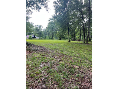 24 ACRES OF GENTLE ROLLING HILLS ON CLEARED LAND. THE HOUSE IS - photo 19
