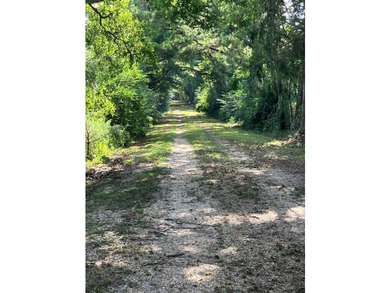 24 ACRES OF GENTLE ROLLING HILLS ON CLEARED LAND. THE HOUSE IS - photo 20